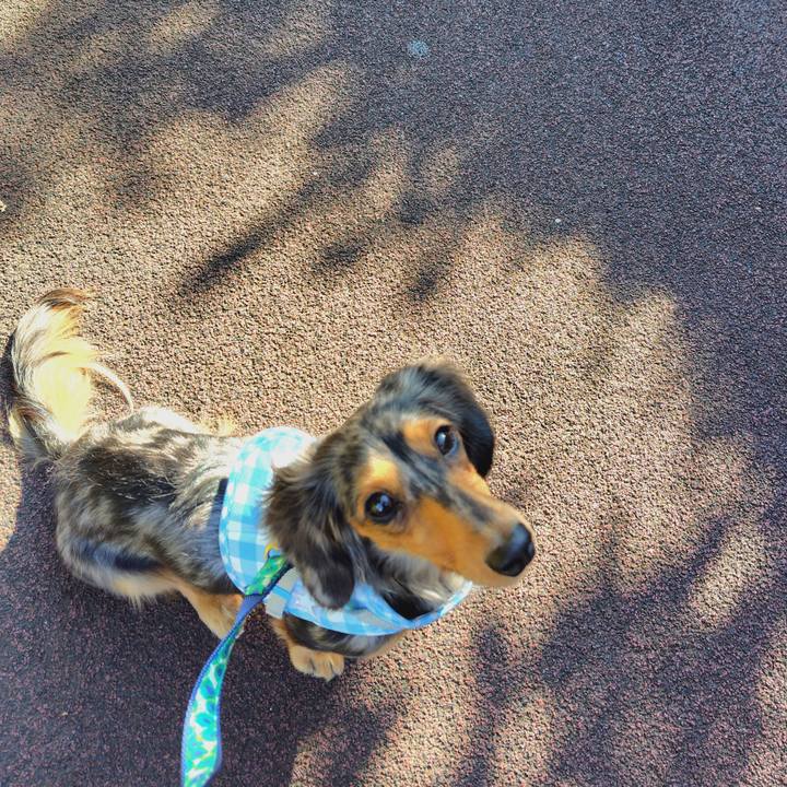 B91cdc69 6248 4ceb a222 928afa130e47 1733367524926