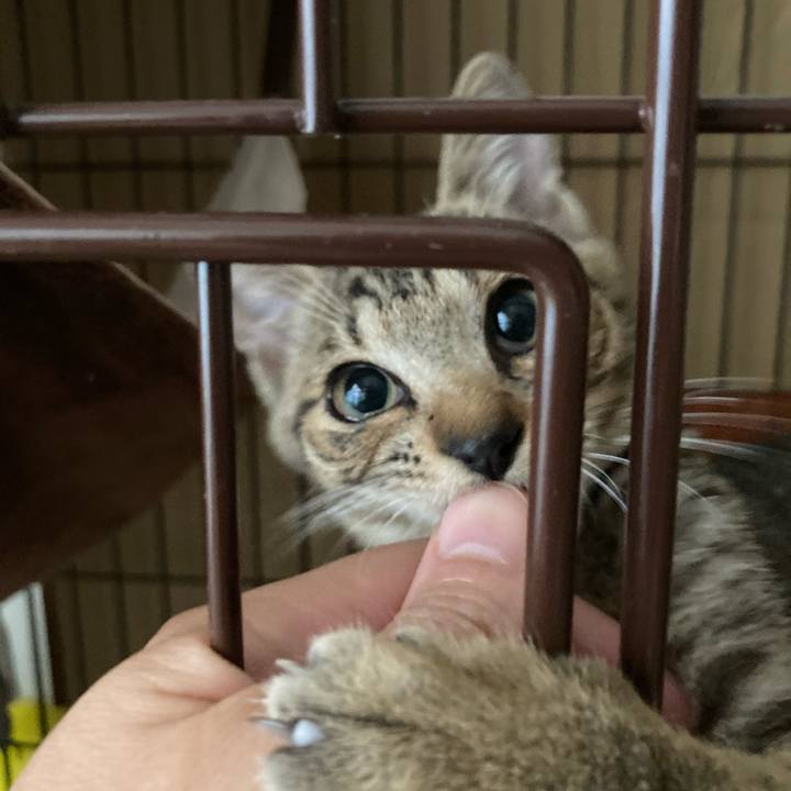 B91cf891 b924 4b95 81a7 d8f42471b8c4 1660939167988