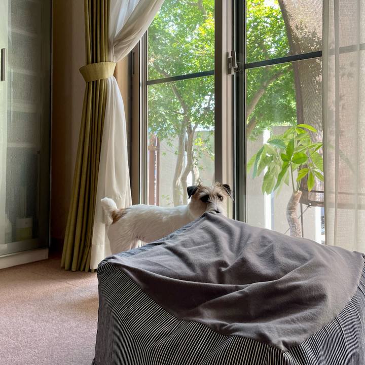 B91d146f 66f1 4f7c b091 74e7bb5a8d0e 1691123983531