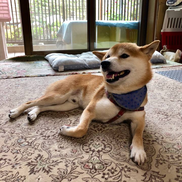 B91d1d9e 19a1 4bc6 a293 3ea894fdb7c6 1561282228100