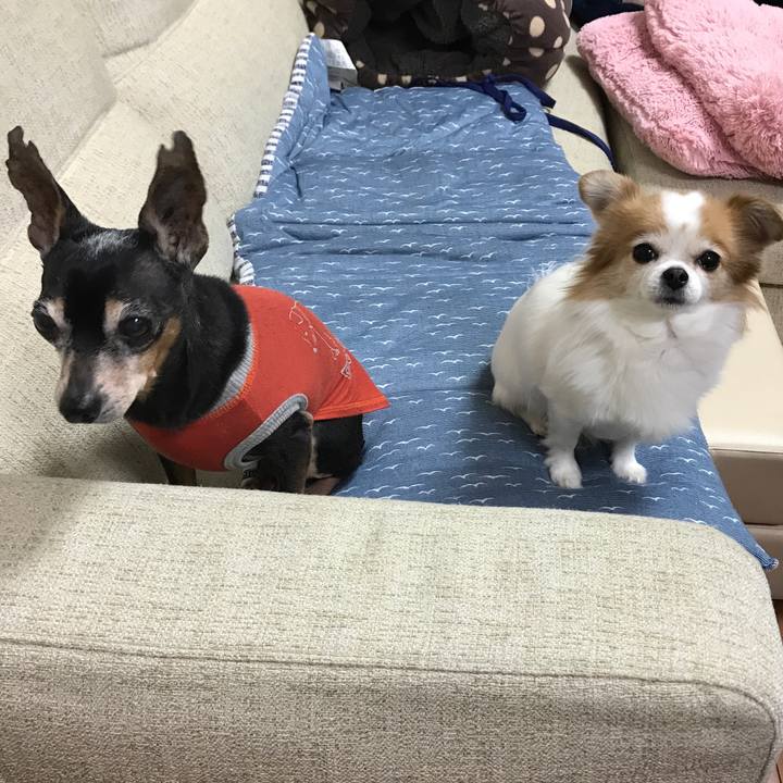 B91d367c b129 4968 8c2a 5ba84f1eac2f 1516268303273