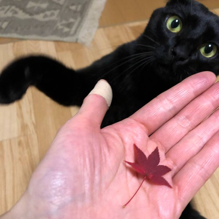 B91d5d35 ce92 4f7b 857a 77ab0adc8cd2 1574596541158