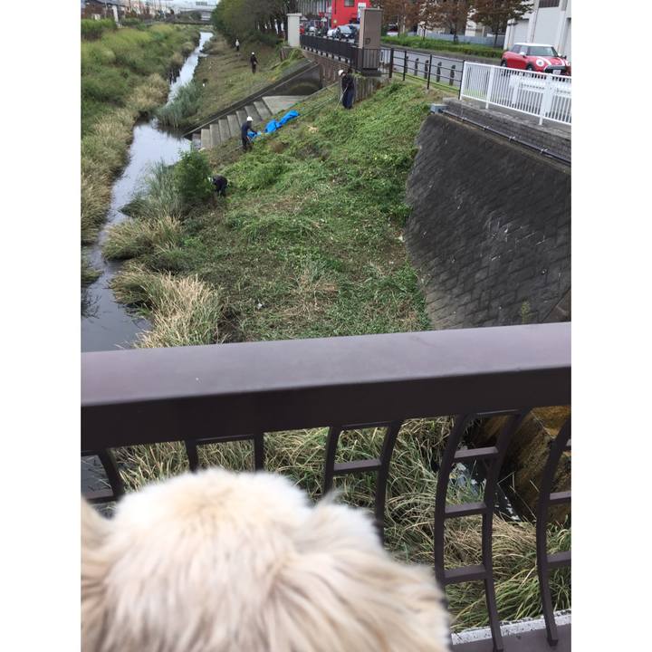 B91d6e5b dd66 4d96 85f1 7cfbe60fe573 1539415643775