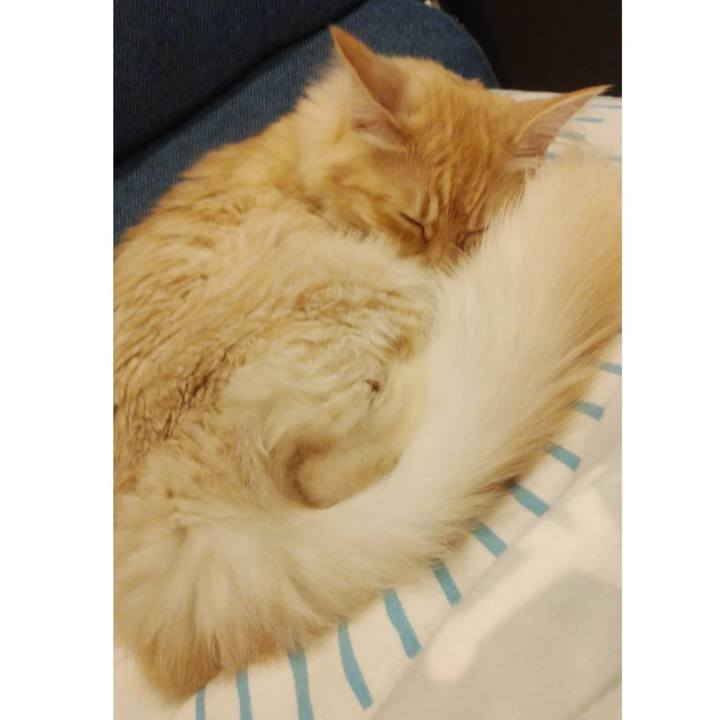 B91d7864 1eeb 4e46 b9cb 0569322d4f12 1618304364492