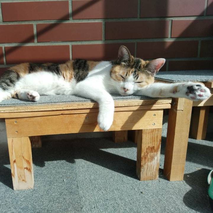 B91da36b 01a2 4bf1 a0af 381e41feb1e3 1620394807626