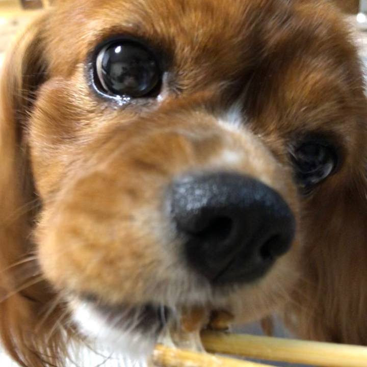 B91db185 6543 4c16 a98a 9caadec4a8cc 1600599562441