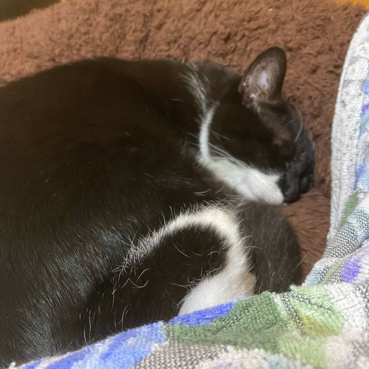 B91dce95 b732 4382 bfa5 baf20e3d7cd6 1620814012974