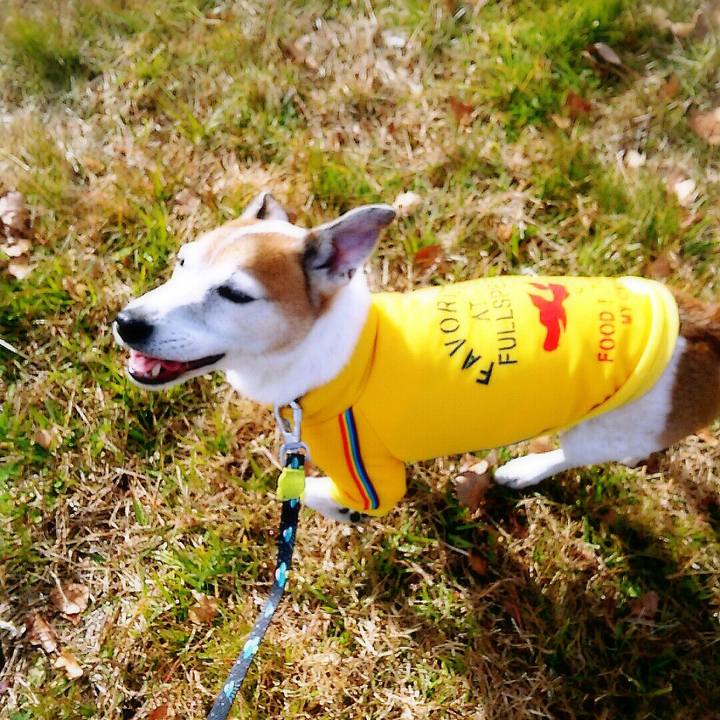 B91de6e5 202f 491d 9b7d 921593cb1143 1514677420620