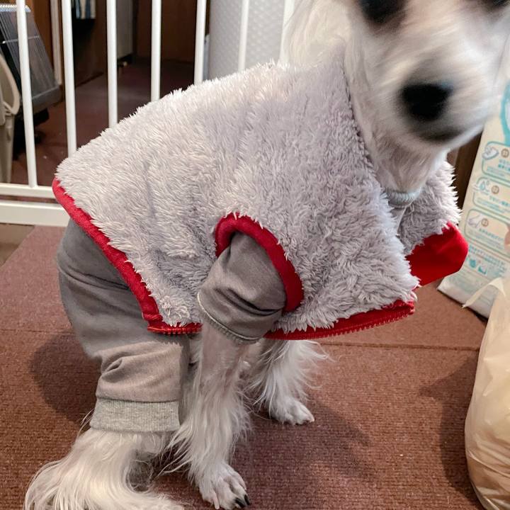 B91e2cb3 2e5c 4bf2 972d 12fea46eceea 1772098306170