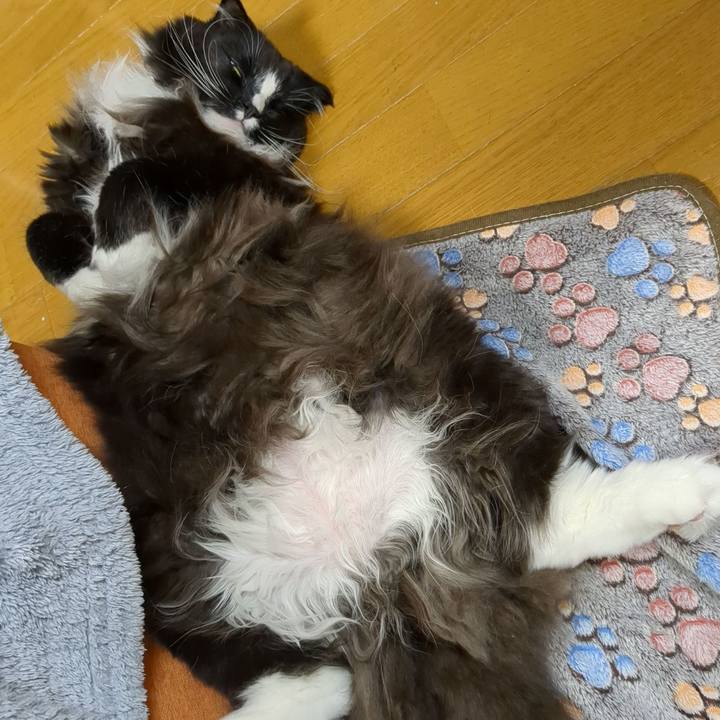 B91e2e0a 4d17 4dae aa74 3ce5abf44c28 1674519523157