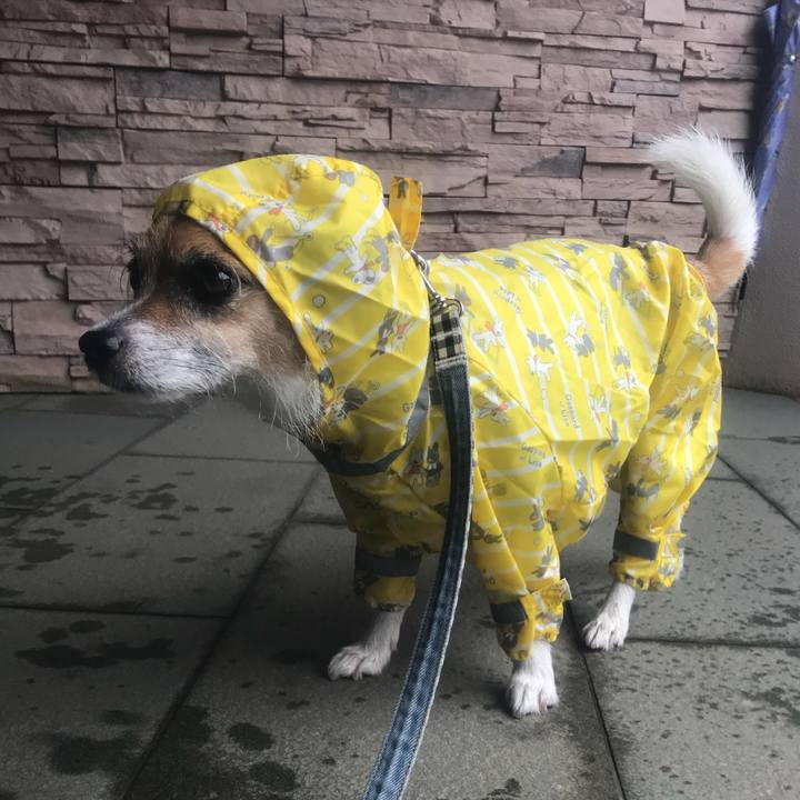 B91e4267 4335 4f6e 92dc ef876313d1e3 1528697890388