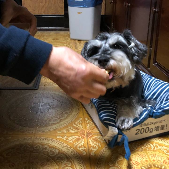 B91e95ab c4e6 4419 881d 27a2b5adaf96 1639142543952