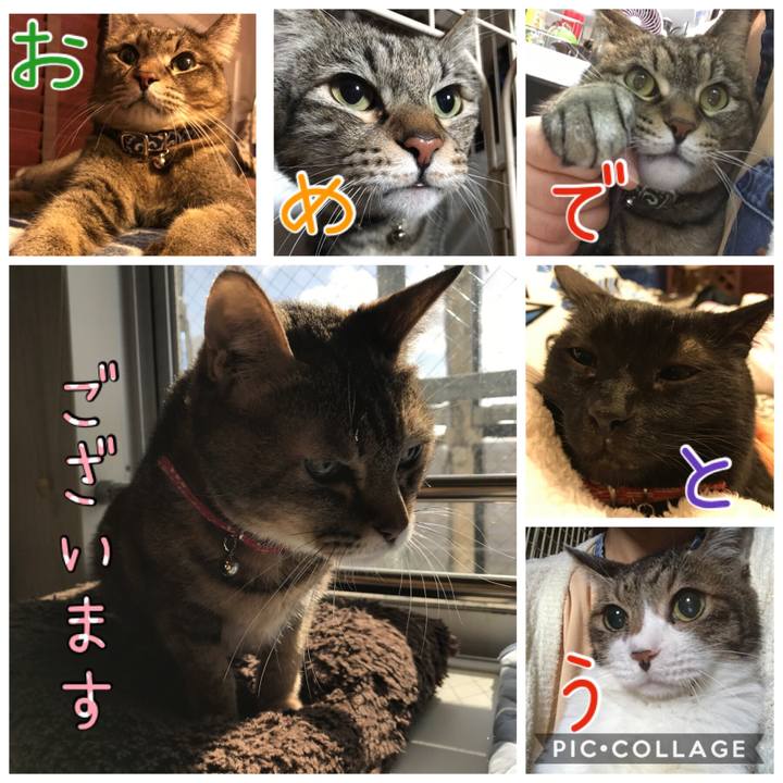 B91ed9a0 89cb 4b4f b50e 25e71712443c 1546409095276