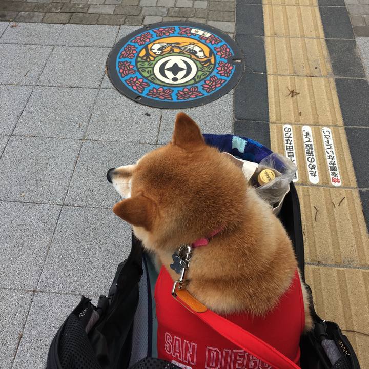 B91ee79f 6ee3 45e3 8a71 837d34d82630 1569056339745