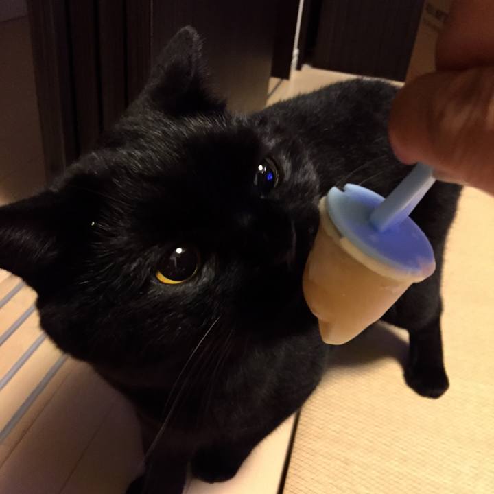 B91f46d1 8265 4add b7eb f85966f5171c 1533995813625