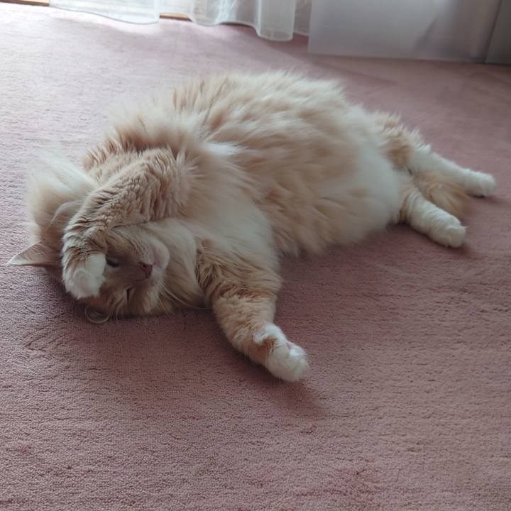 B91f5c4c 6b7a 4054 b96f b8fb0347411e 1623890785604