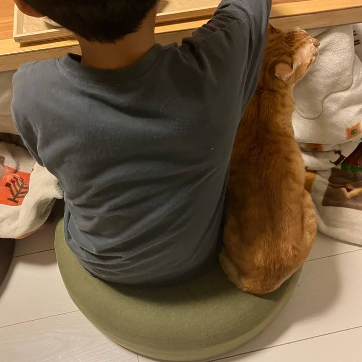 B91f74fa d080 4d10 ab69 19cb9d7a0be3 1773485854652