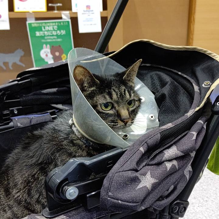 B91f8169 1112 4bd7 b643 0711df019a0c 1647767004913