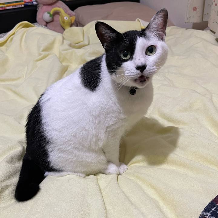 B91faaf0 1d42 488e b02f 9a1267572332 1755730146528