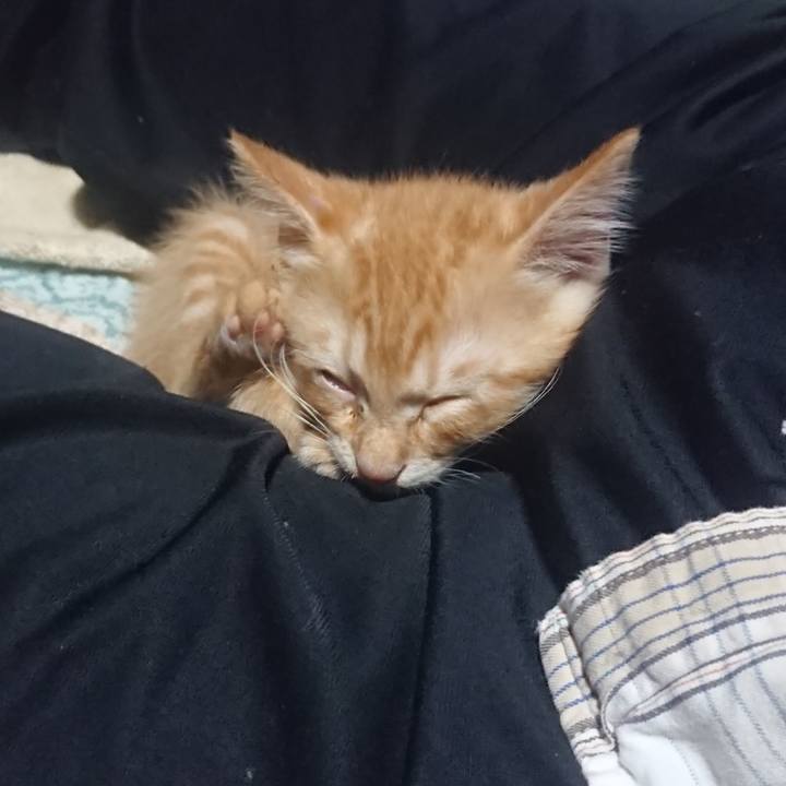 B91fbb8f 16d0 4e0d b3bb 792ef198cb02 1629115778148