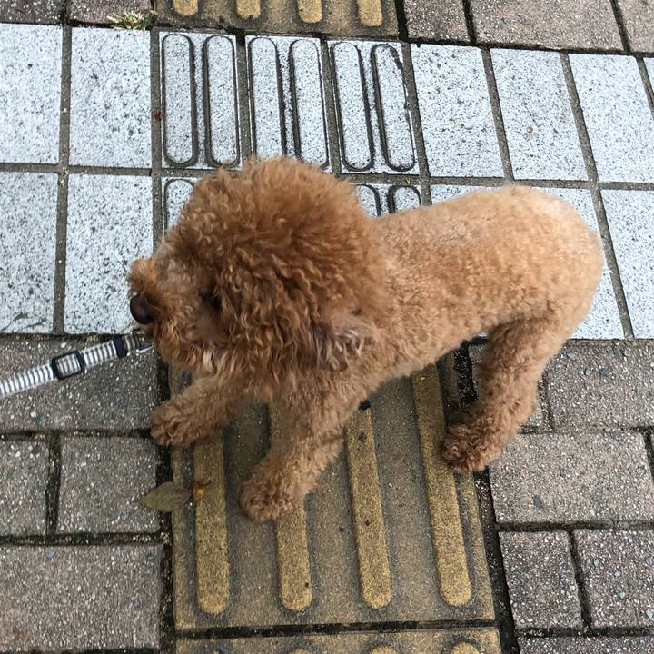 B91fc8fc d5fb 435e 9db6 b66a0534ddf6 1599771752501