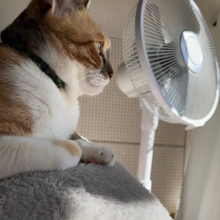 B92042dd e2ea 4e3f ac84 0c86a16b610f 1737860365625