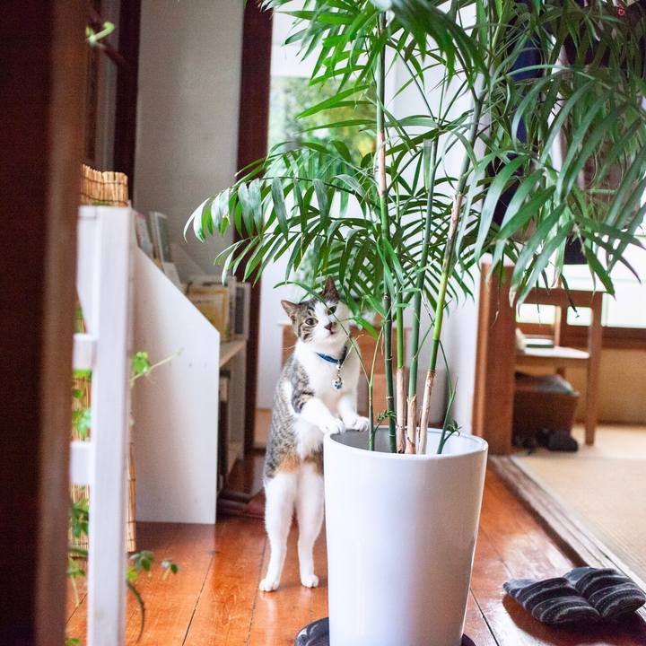 B9205088 677d 4754 8e42 b50c7735ae88 1590131395981