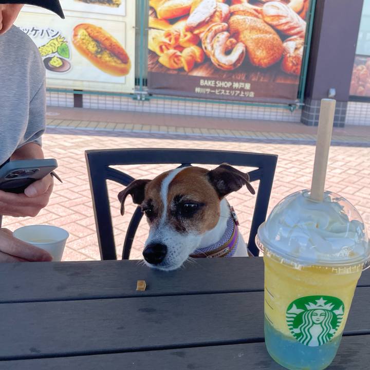 B9205ce4 279c 46bd ab0a 7bb0adb49516 1723084380986