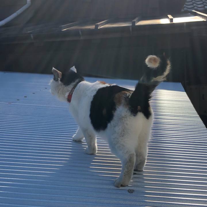 B9207c26 aae2 47c1 9628 0304e1ea3920 1611137487397