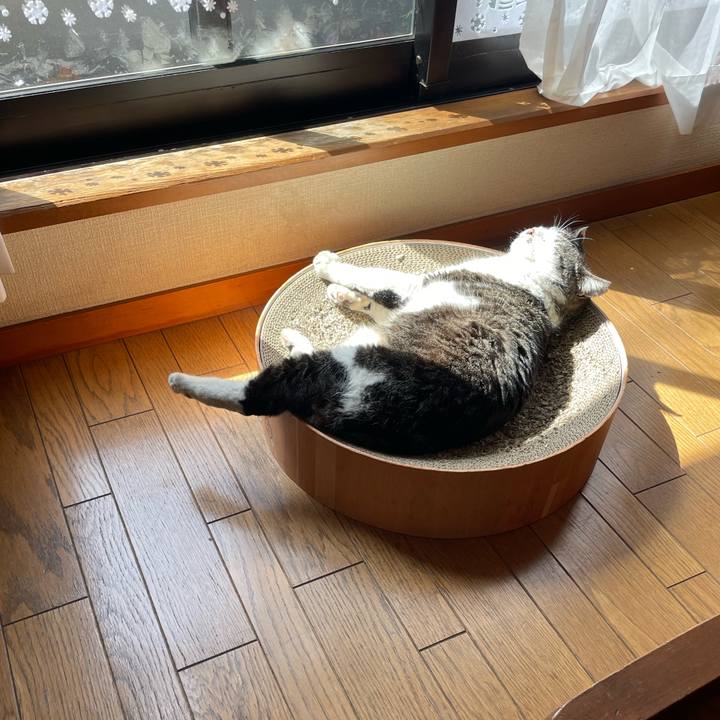 B9208bbd 783f 487b 9e12 eedc9e23d1b4 1681375776581