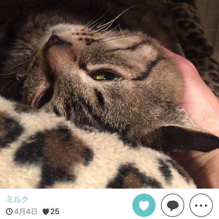 B9208f91 ae76 439f ab80 d5c6644a4cdd 1511690096937