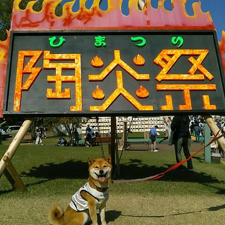 B9209058 5421 4225 acdc cb951f7a0064 1556954737420