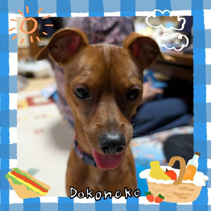 B920af7f 3a72 4a6c bac5 25ab91a9a5d7 1744374287219