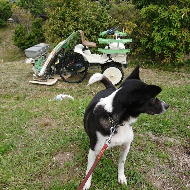 B920fd90 eef0 4e72 a985 6206344c2974 1525050249598