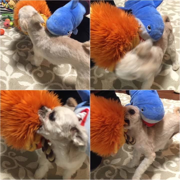 B92108fd 797e 4b6f 9a3a a252141f7950 1546002230824