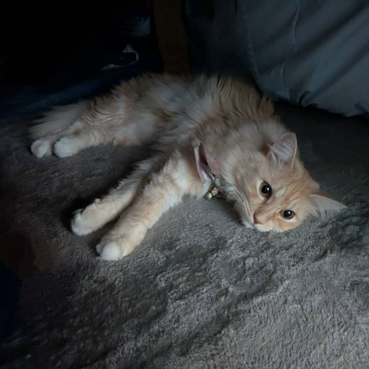 B9217499 1eda 47b7 950e b630661d61ee 1733787499490