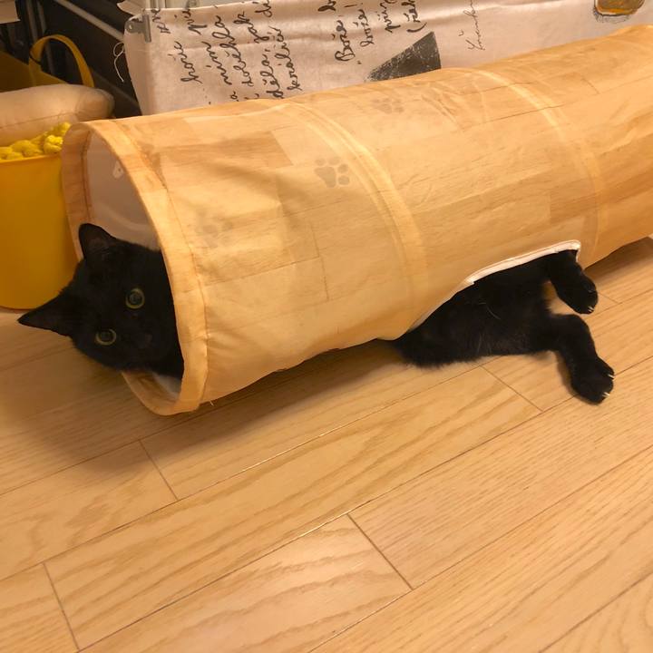 B921c38b b97b 46b1 b6d1 22a1f70a2a31 1575383683009