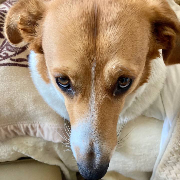 B9224503 10d1 43c5 969b 442600ee6703 1648517348540