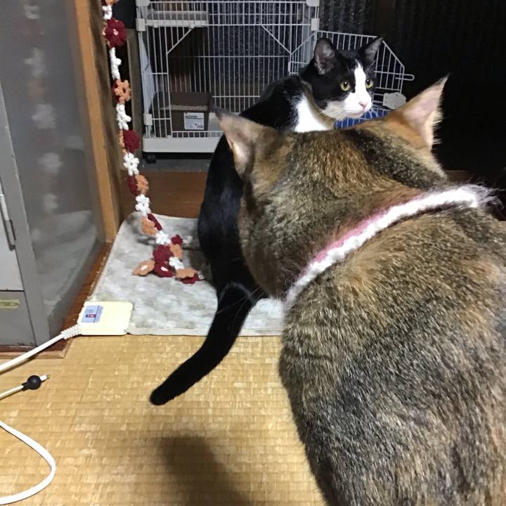 B9224775 6f1d 4c50 9f1a 19a7d3ecfe5f 1651831300196