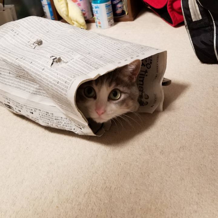 B9226256 eb1a 49e6 b1af 633b4ad24702 1580567732091