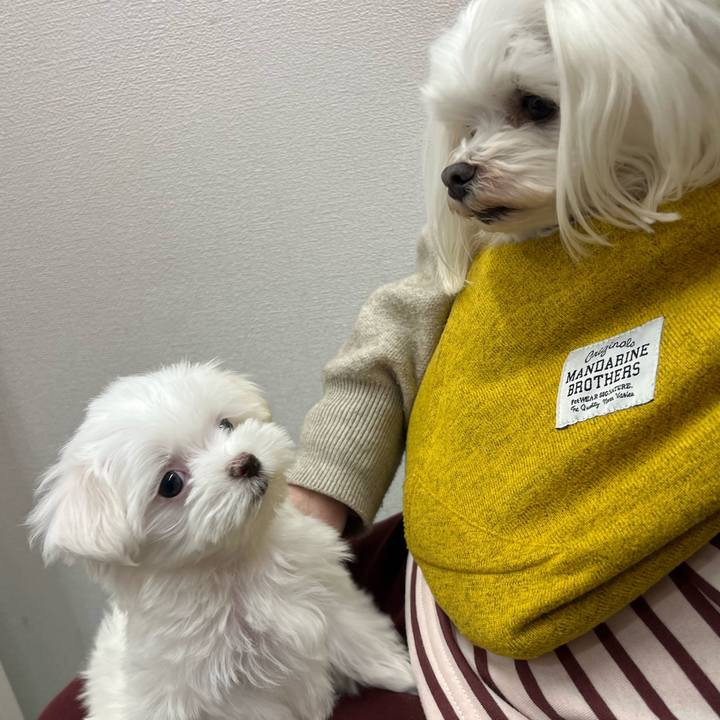 B9226796 e75b 4d3d b330 d0180b9229cc 1707193098546