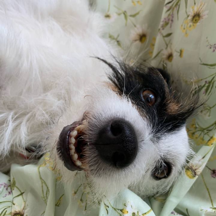 B9226869 e1e8 4f3e b07a 7092300d5bf8 1623308287754