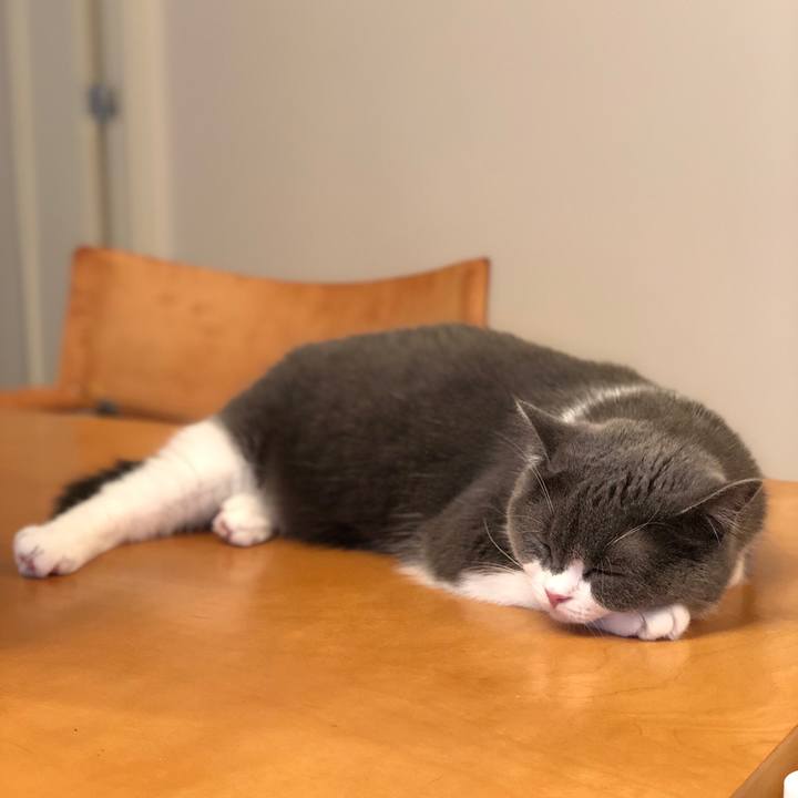 B922862a 7c2d 4cde b0a8 2b3449cda59e 1532768917621