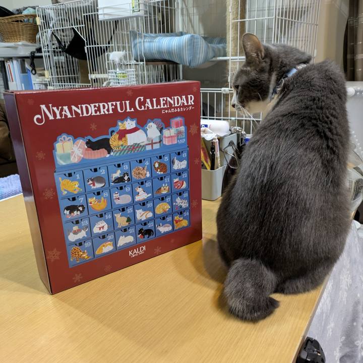 B9228910 c68f 49a4 87e1 ee0cb6c016b4 1762513883091