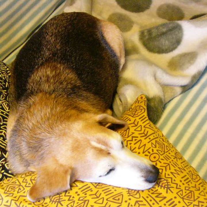 B9229bc5 0196 4b14 bdb5 be1a2b54f38e 1660693543673