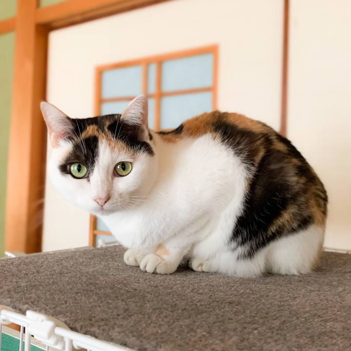 B922a290 1140 440f 9755 5d39e715bdde 1579659135626