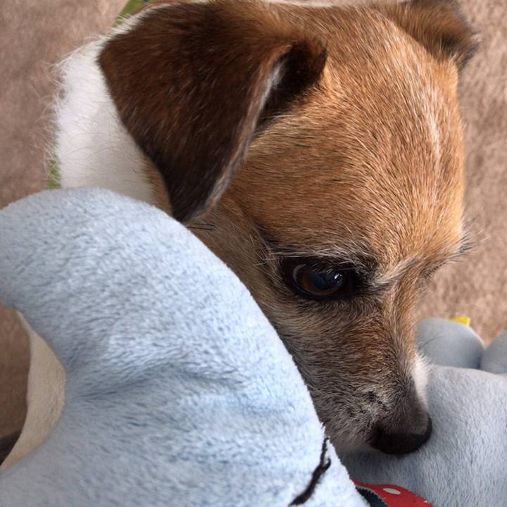 B922a37a 4788 433d 8ecf 8106f63c15e4 1558236003098