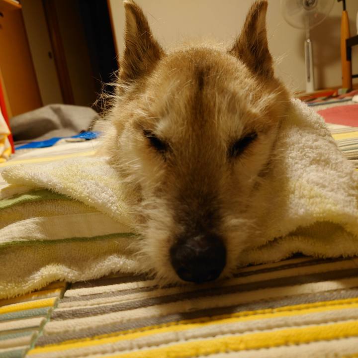 B9230296 f74c 4190 a1bd 405fc3abc7f1 1654820654129