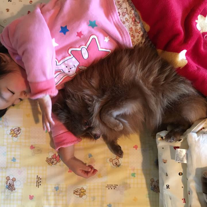 B9230a2a 0466 4b35 8c82 9dc75e3c18e9 1519711151978