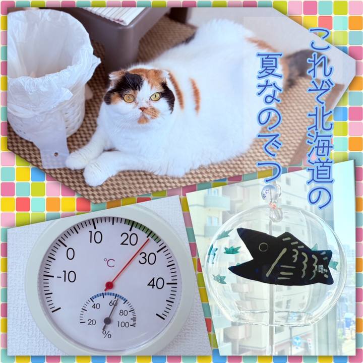 B9231c18 3c72 49ee b6e7 8a2ef7091900 1752287715804